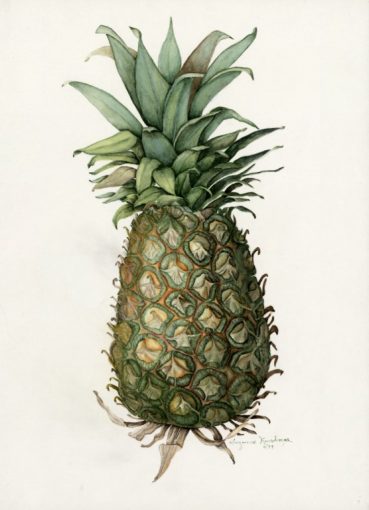 Pineapple