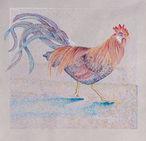Rooster