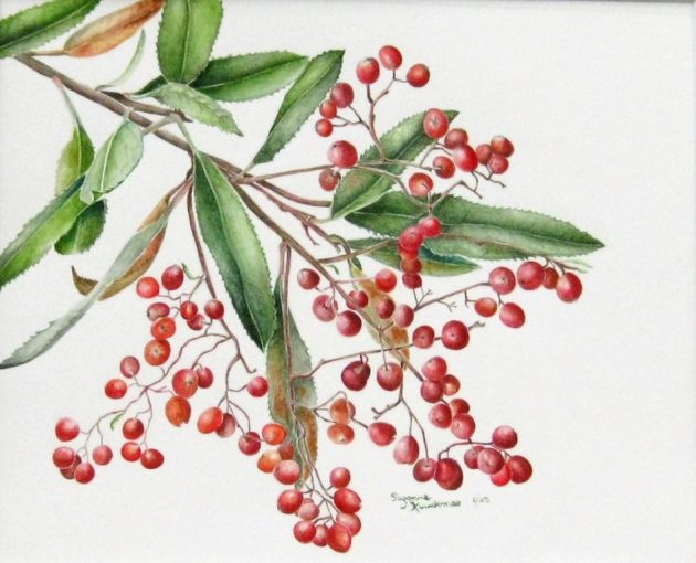 Toyonberry