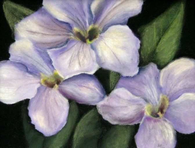 Clock Flower