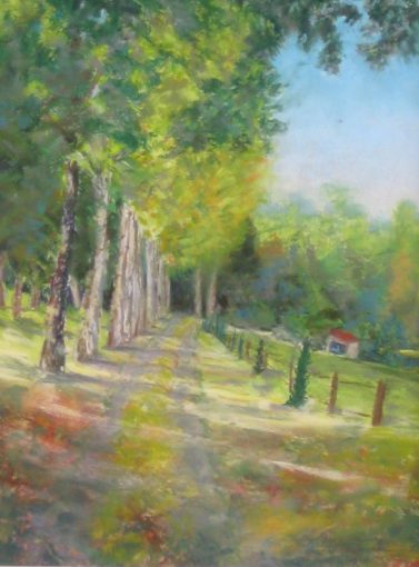 Road to Haut Baran, Toulouse, France