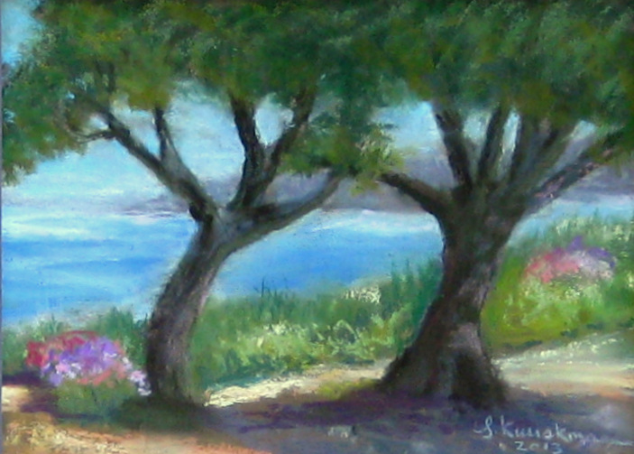 Point Vincente, North View