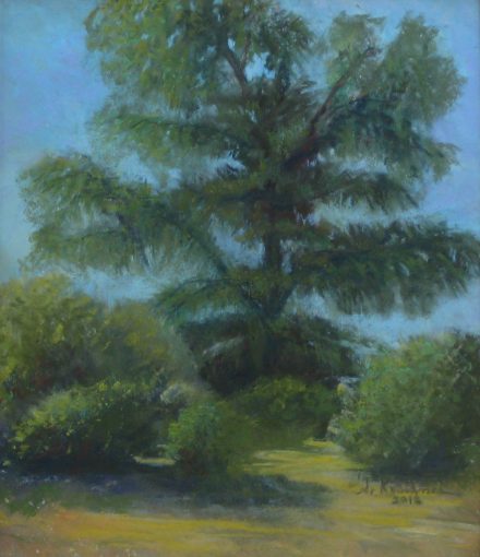 Tree at Episcopal Church, Palos Verdes, CA,