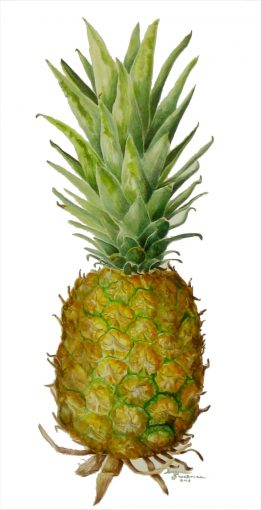 Ripe Pineapple