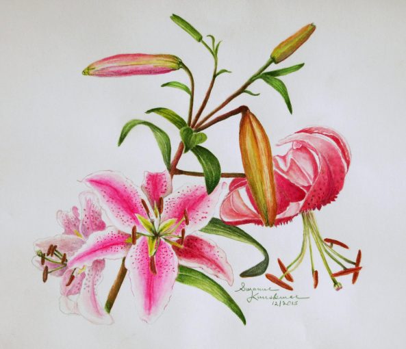 Red Lillies