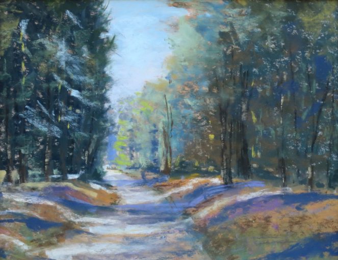 Road From Mirror Lake