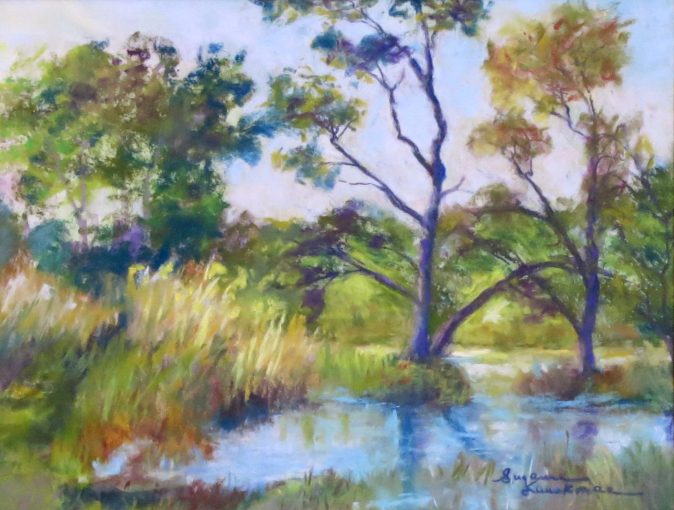 Madrona Marsh 3